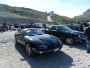 jaguar alle tre cime di lavaredo (8/26)